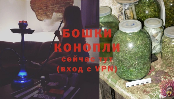 дживик Слюдянка